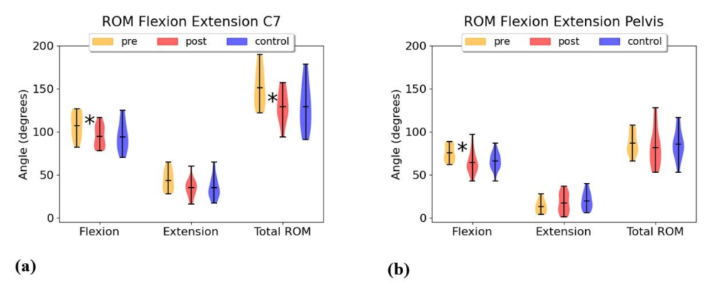 Results of the Range of Motion (ROM) measurements